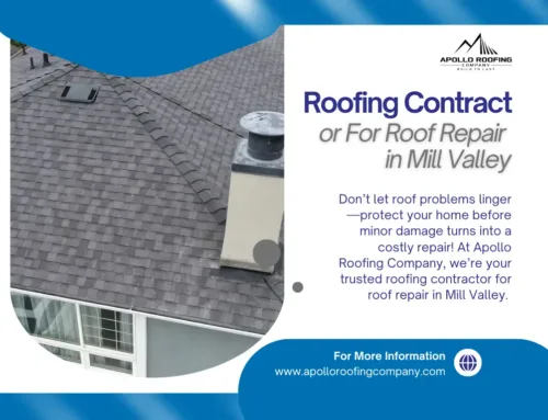 Roof Leaks = Big Bills: How Timely Roof Repair in Mill Valley Saves You Thousands