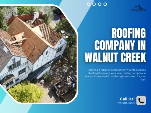 When Is A Roof Replacement Needed in California
