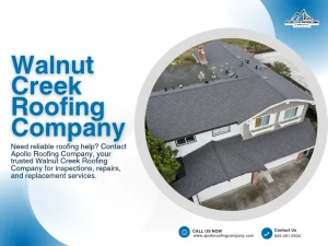 Common Winter Roofing Problems in California