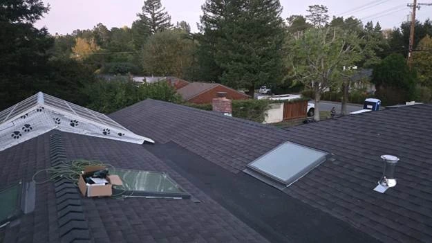 black roofs