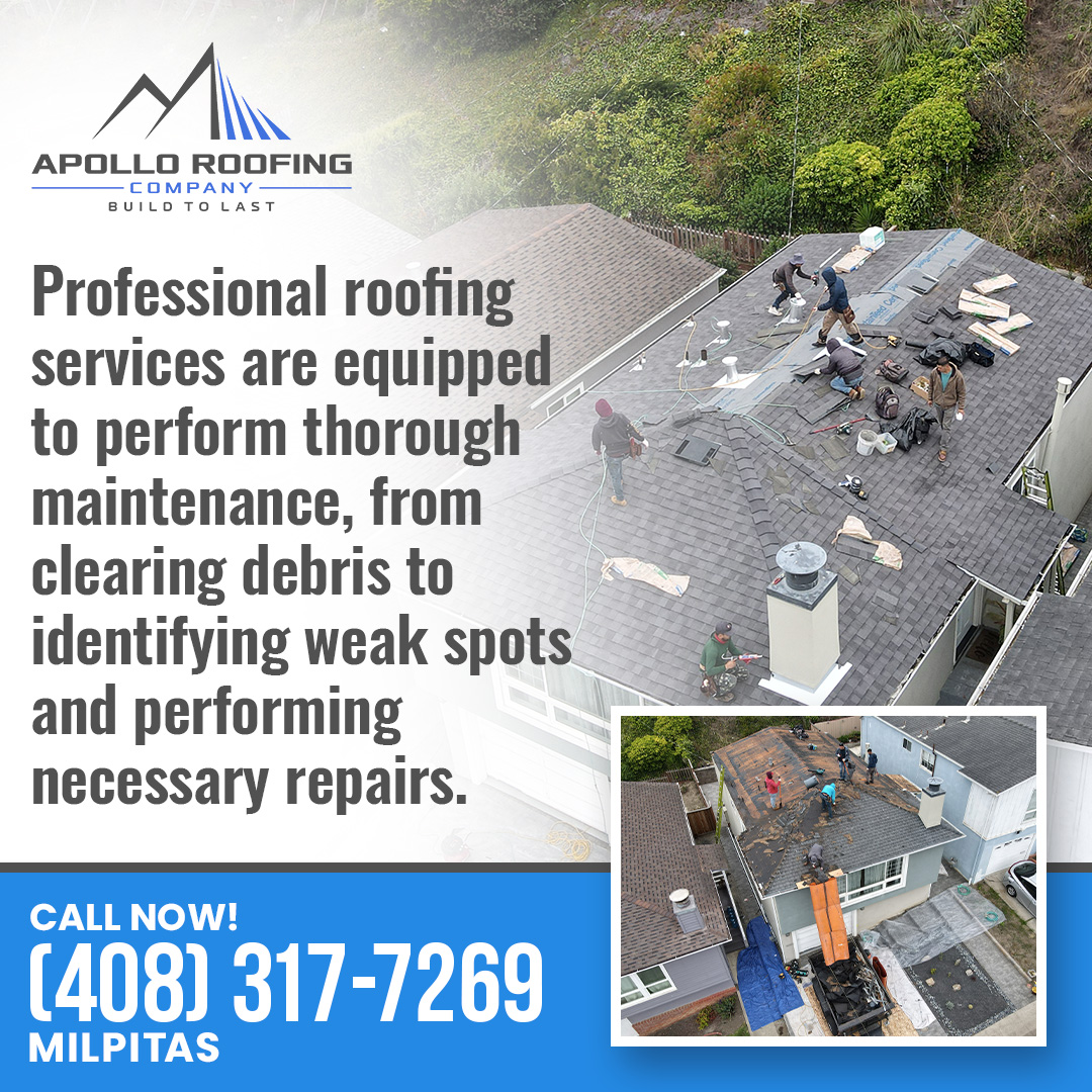 What You Should Know About Storm Damage and Roof Repair - Apollo ...