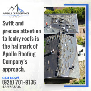 Apollo Roofing Company San Rafael 3 1
