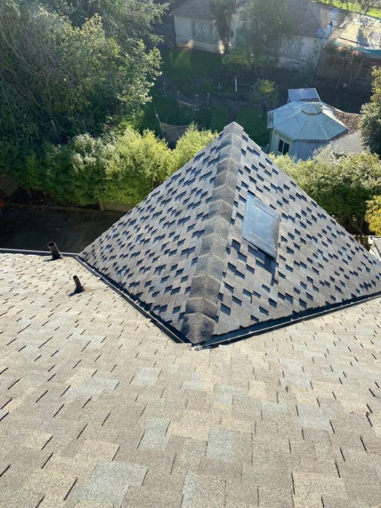 shingle roof needs replacement