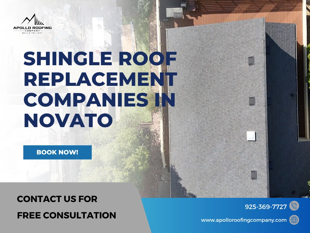 Shingle Roof Replacement in Novato