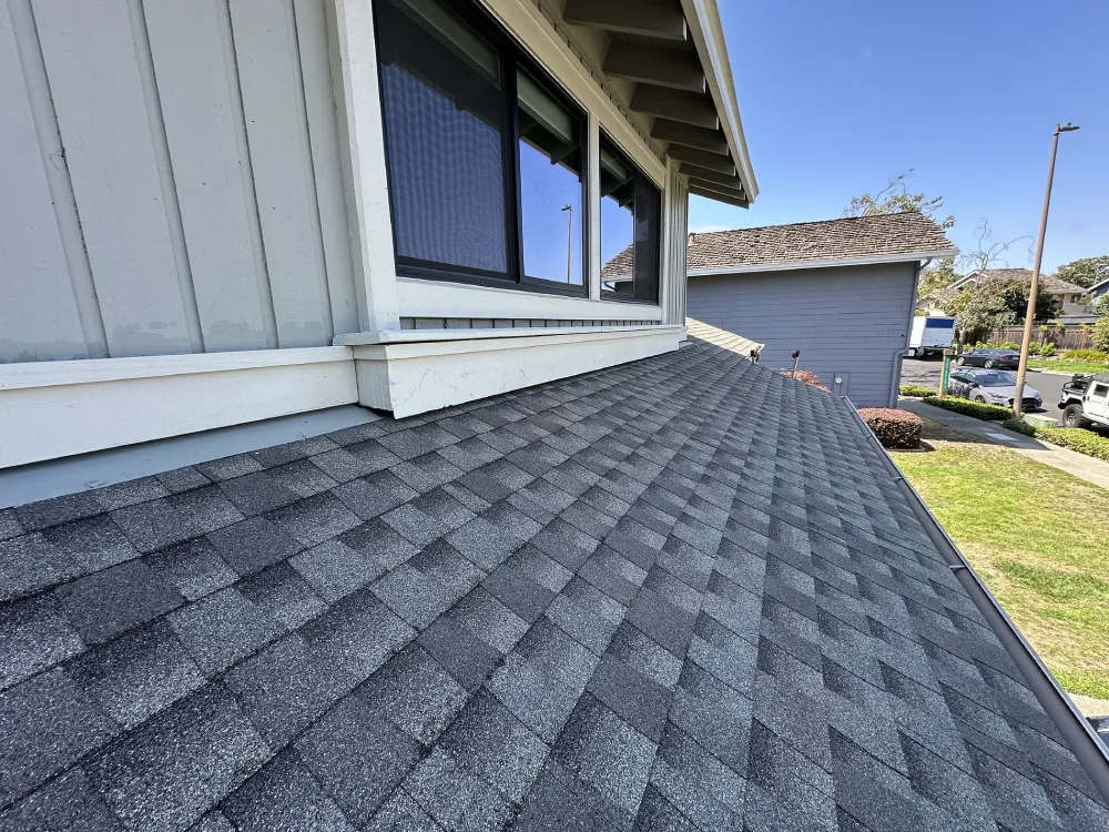 Alameda Shingle Roofing Project - 2