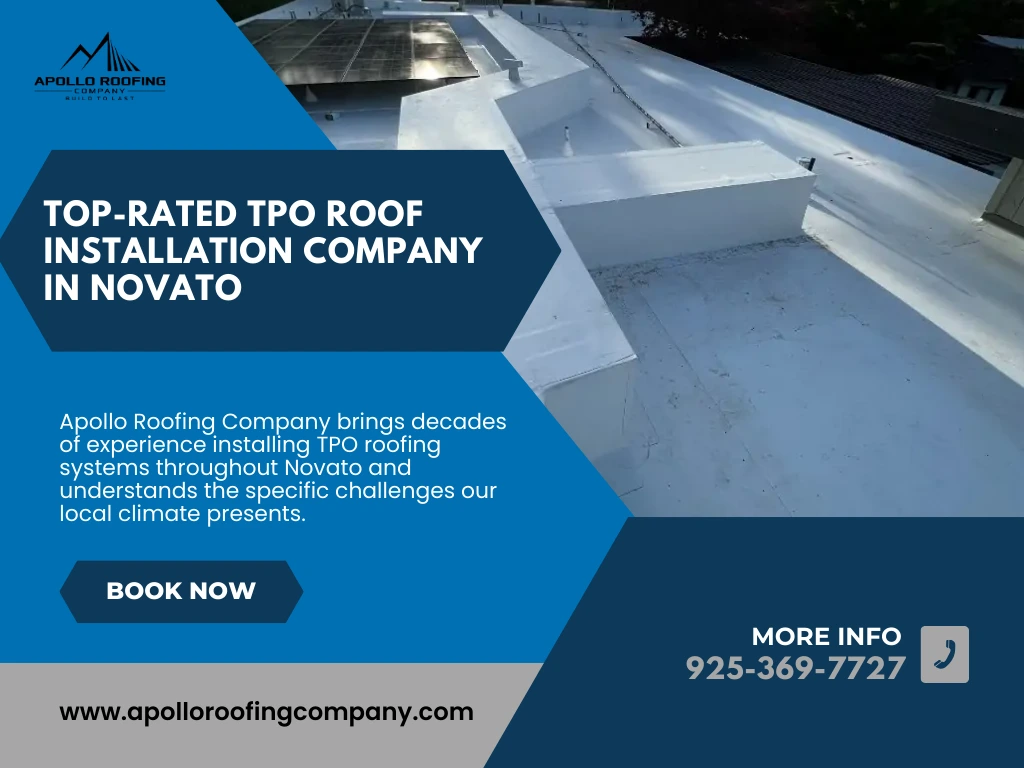TPO vs. Other Flat Roofing Options