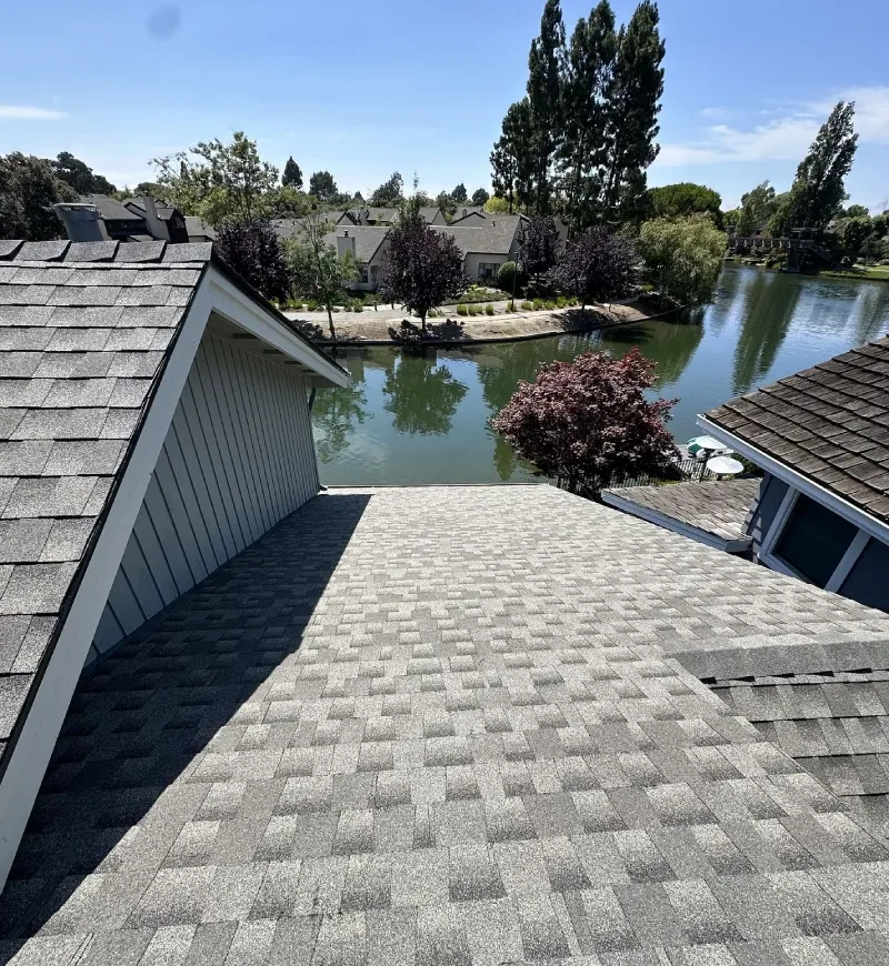 Shingle Roofing Contractor San Francisco and Bay Area