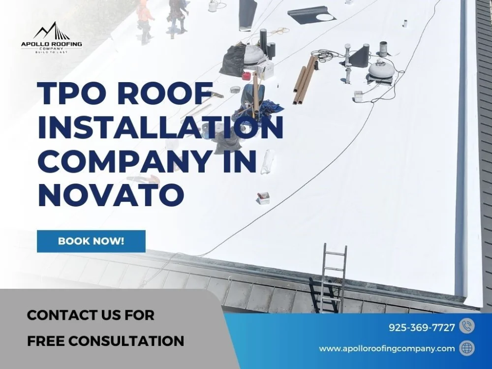 Durable TPO roof replacement in Novato ensuring long-lasting business protection