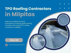 White TPO roof on a flat commercial building displayed in modern blue layout