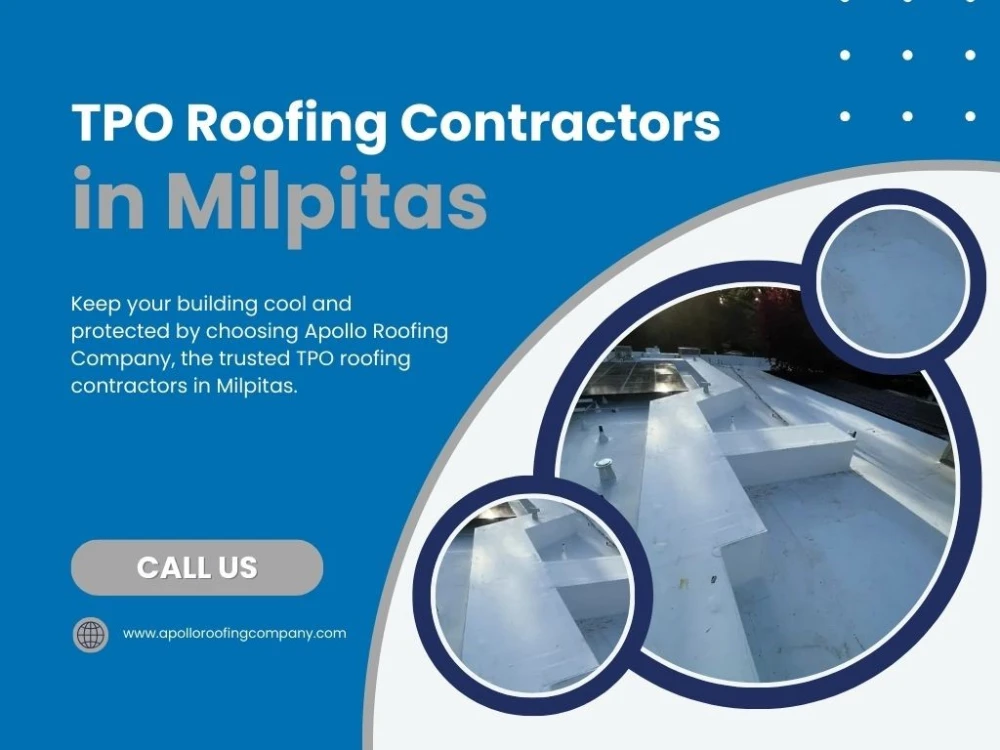 White TPO roof on a flat commercial building displayed in modern blue layout