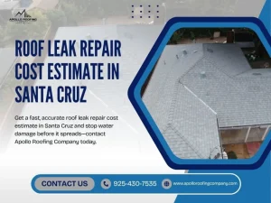 Apollo Roofing providing roof leak repair estimates in Santa Cruz homes
