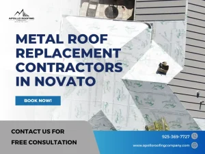 Metal roof replacement service for Novato homes by Apollo Roofing Company