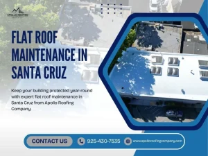 Professional flat roof repair and maintenance in Santa Cruz, California