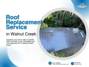 Top-down view of home featuring recent roof replacement service