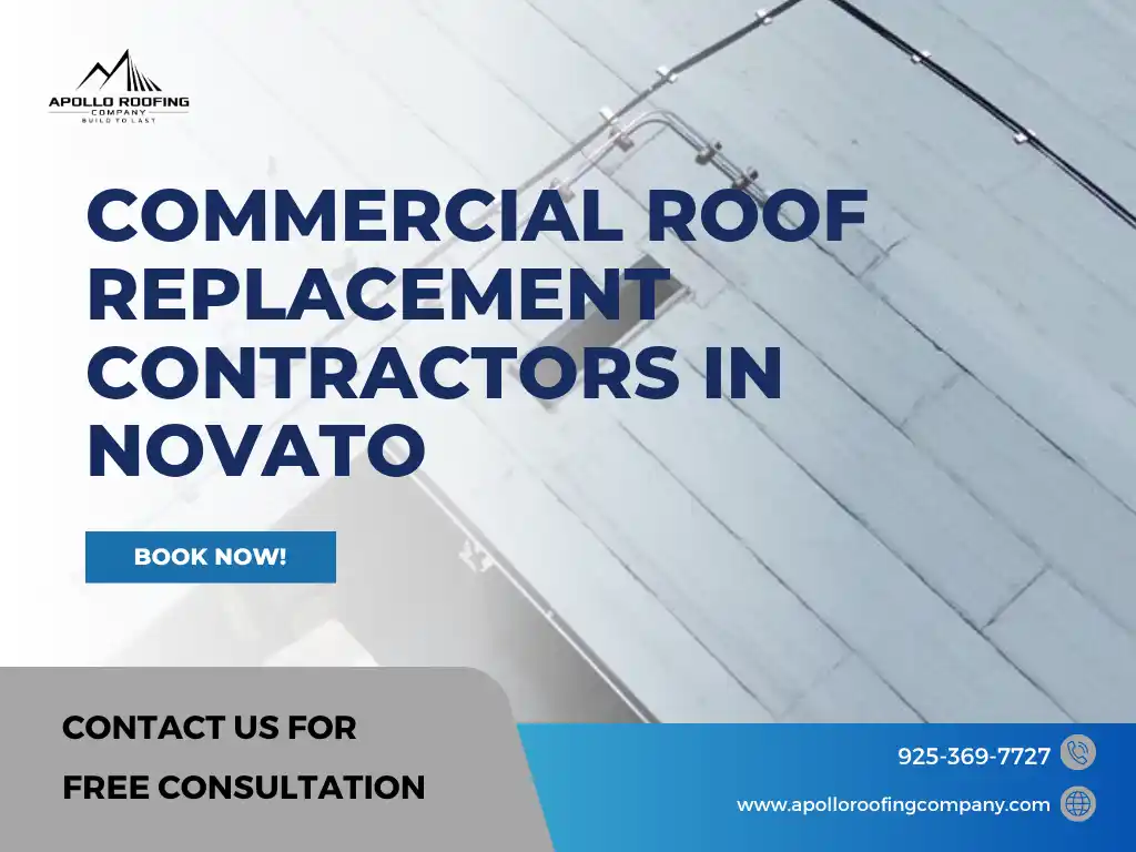 Commercial roof replacement contractors in Novato