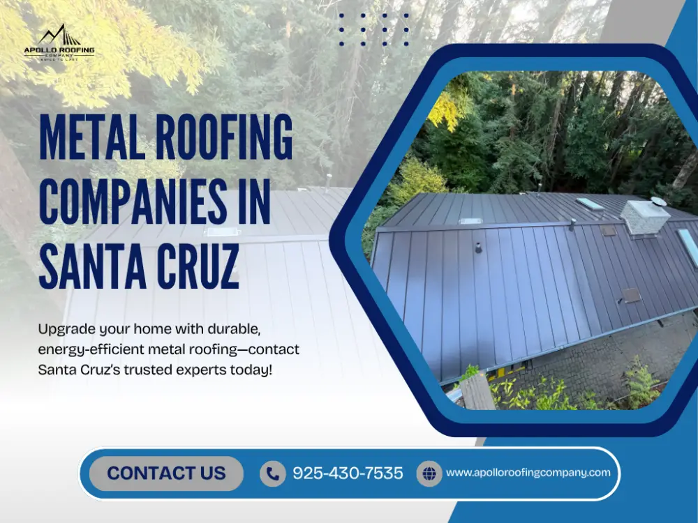 Modern metal roof installation on a house surrounded by trees in Santa Cruz