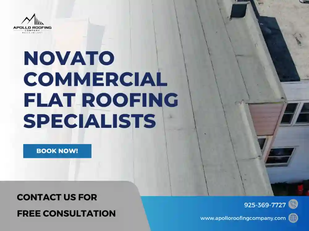 Commercial flat roof replacement on Novato building by Apollo Roofing