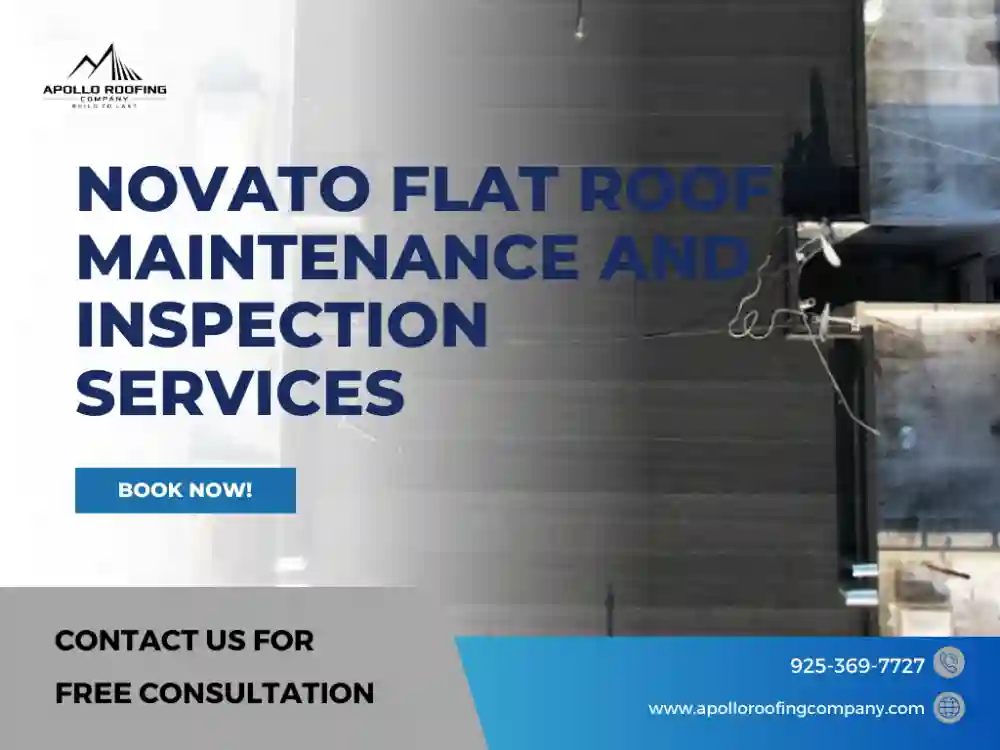Novato flat roof maintenance and inspection services for businesses