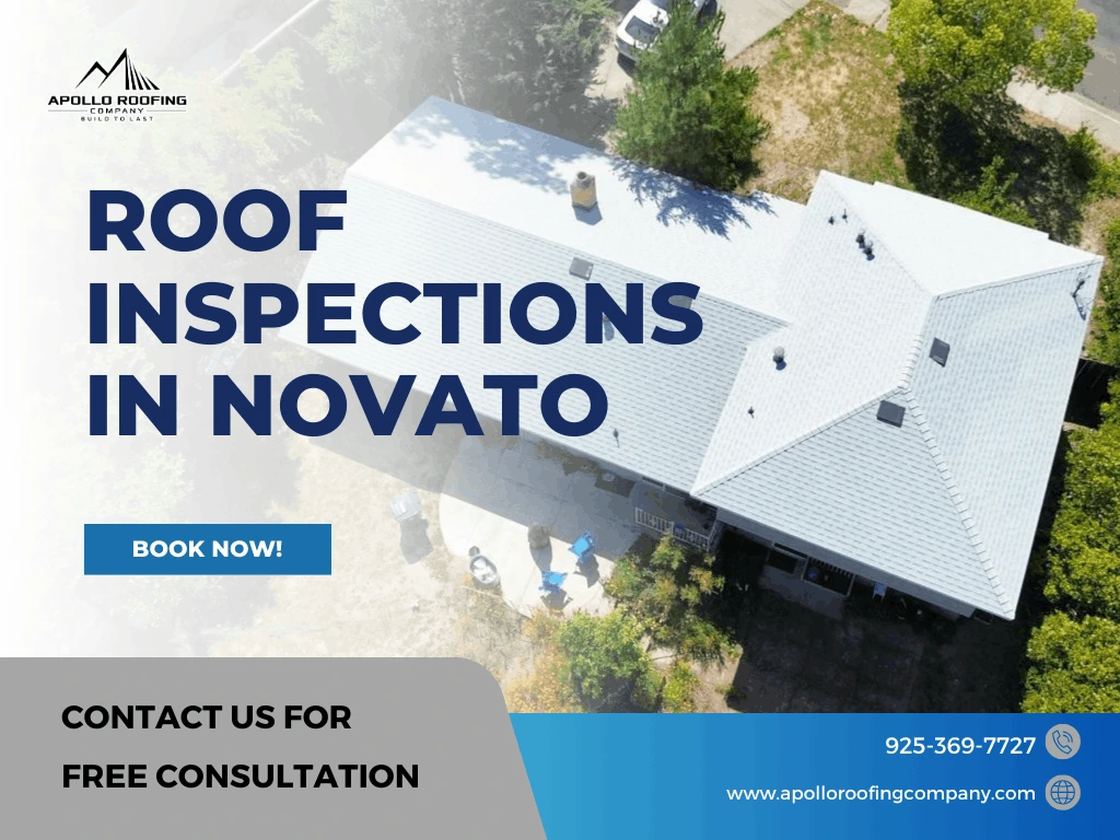 Roof Inspections in Novato for Residential and Commercial Buildings