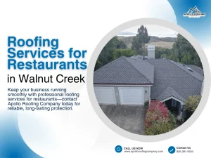 Roofing Services for Restaurants and Dining Facilities