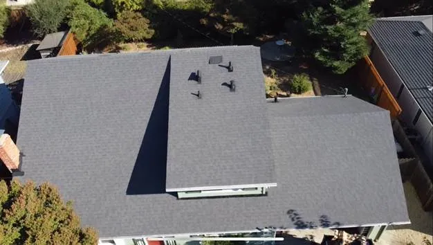 gray roof 4 chimney