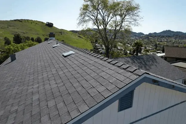 top view roof tree