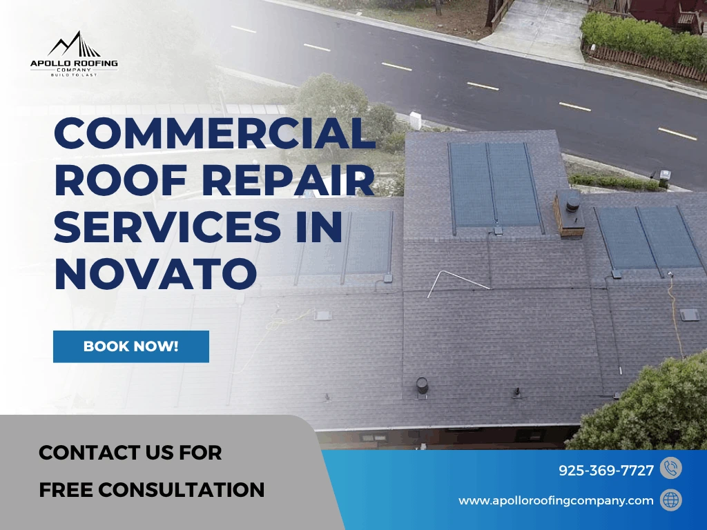 Commercial Roof Repair Services in Novato