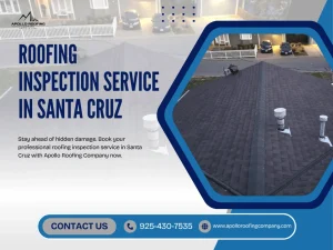 Roofing Inspection Service in Santa Cruz Before Buying a Home