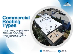 Top Commercial Roofing Types