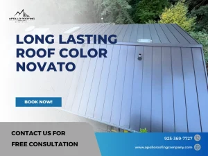 Long Lasting Color for Roofing in Novato