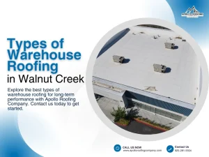 Types of Warehouse Roofing (1)