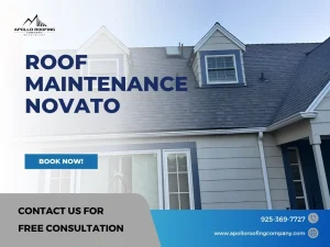 Roof Maintenance in Novato
