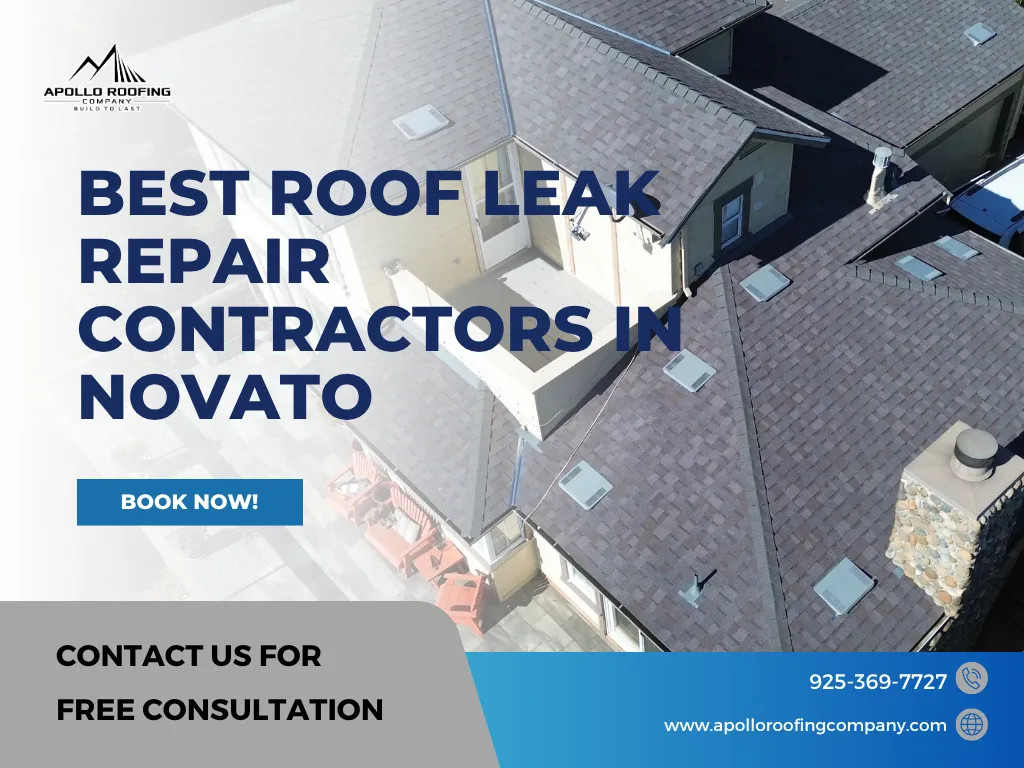 Best Roof Leak Repair Contractors in Novato