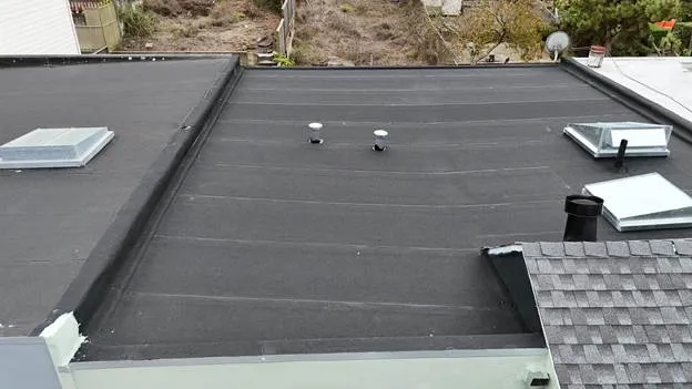 Dark Black roof