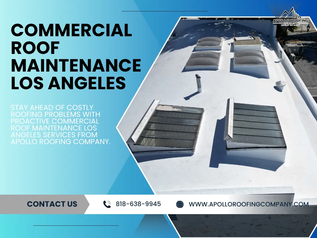 commercial roof maintenance Los Angeles