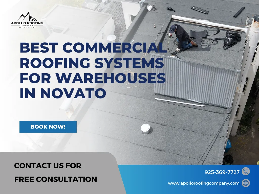 Best Commercial Roofing Systems for Warehouses and Industrial Buildings