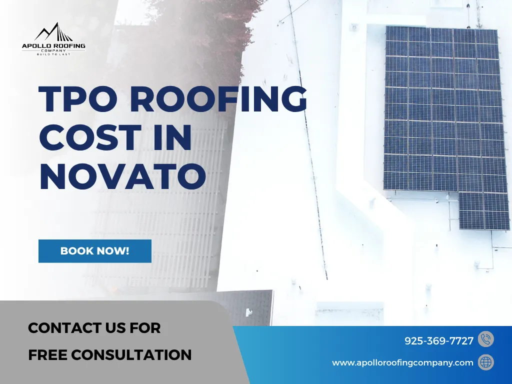 TPO Roofing Cost in Novato