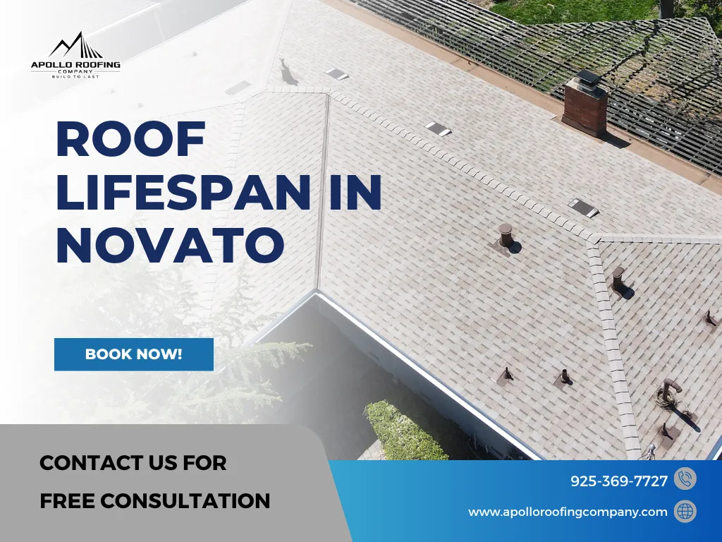 How Long Does a Roof Last in Novato