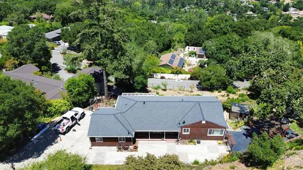 gray roof trees